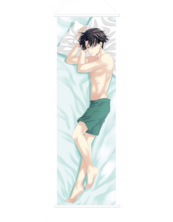 Attack on Titan Male Anime Wall Poster Banner Japa...