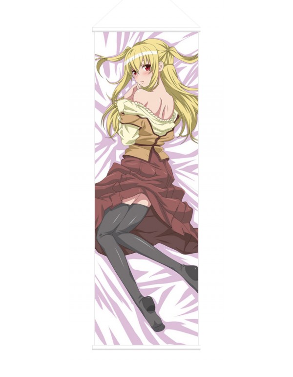 Mariya Shidou Maria Holic Male Anime Wall Poster B...