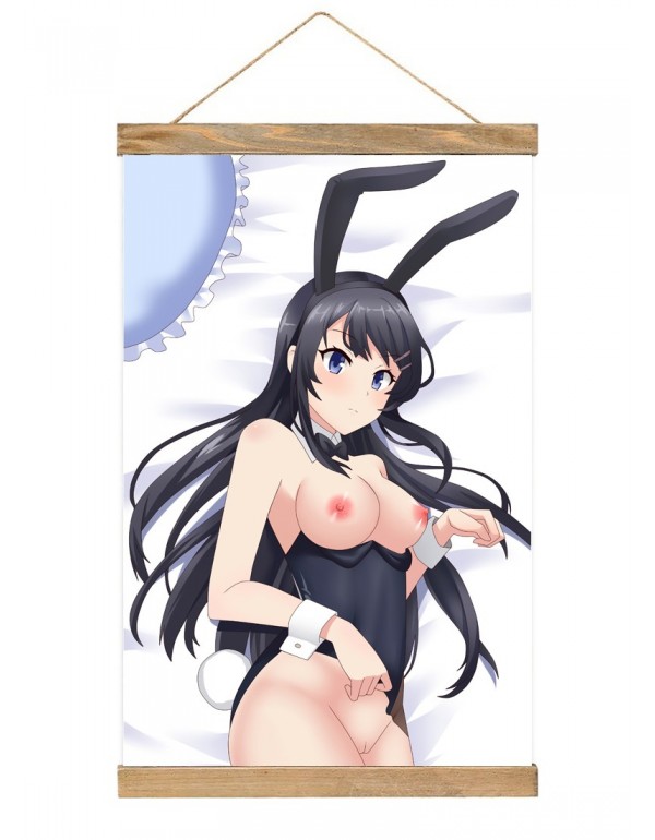 Weich Japanese Wall Banner Rascal Does Not Dream Of Bunny Girl Senpai Anime Wall Scroll Posters 40x60cm(23.6x15.7in)