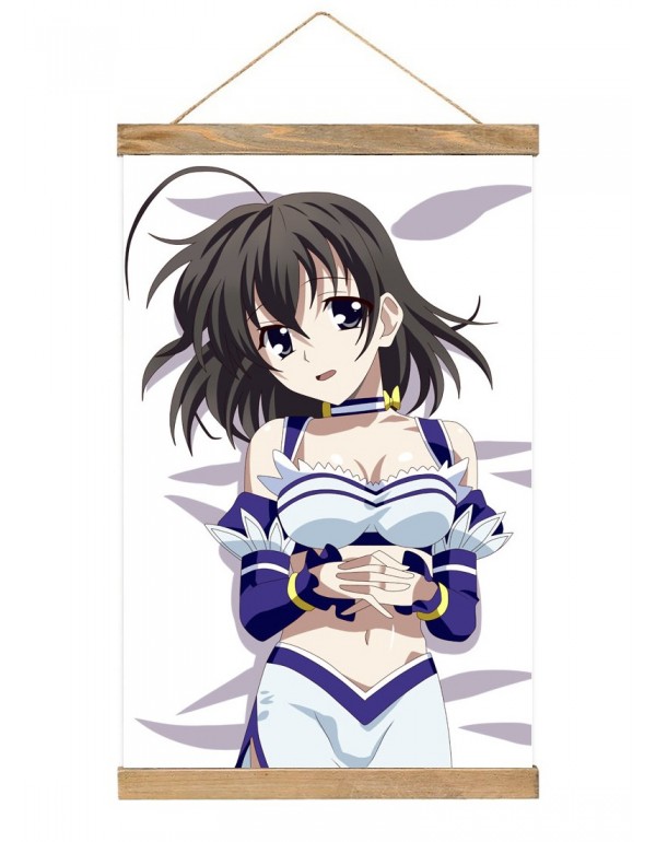 Sexy Japanese Wall Banner School Days Saionji Sekai Anime Wall Scroll Posters 40x60cm(23.6x15.7in)